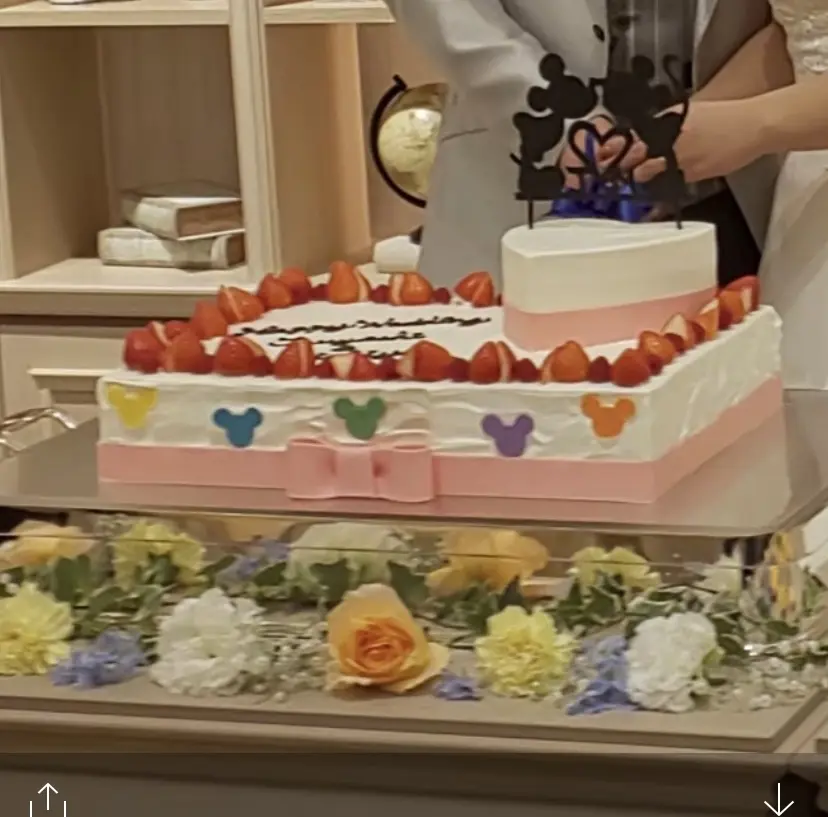 ケーキ/4.8万円