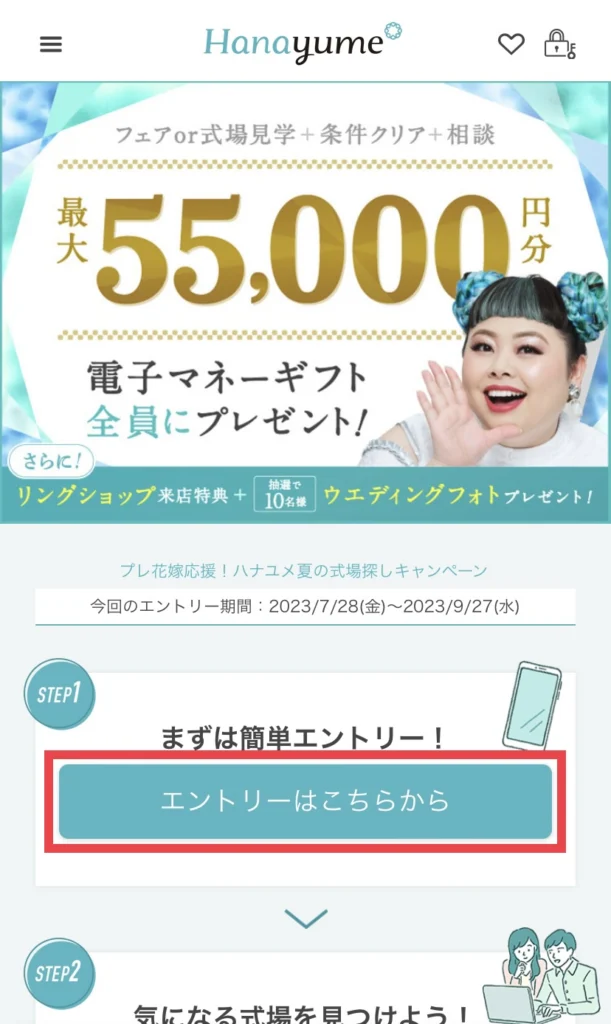 ハナユメキャンペーンの過去について