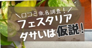 フェスタリアがダサい・安っぽいは仮説!実際の口コミは0だった!