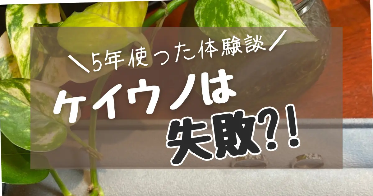 ケイウノで失敗はなし!5年使った体験談と口コミ調査!