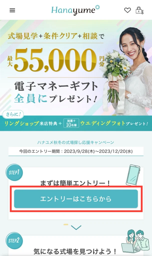 ハナユメキャンペーンの過去について