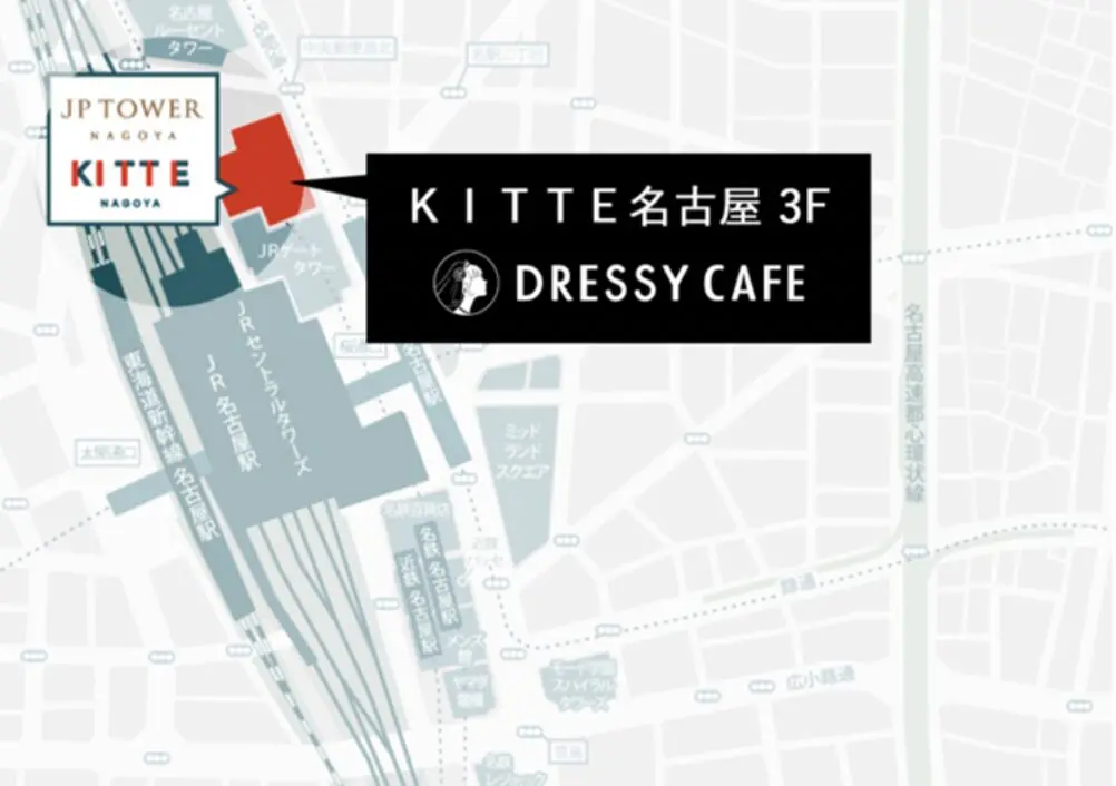 DRESSY ROOMにてフェス同様の体験が可能